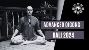 Advanced Nei Gong (2024)