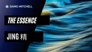 Jing - The Essence (2021)