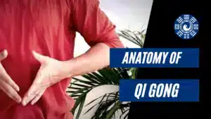 Anatomy of Qigong (2022)